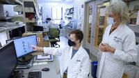 Dr. Megan Sykes reviews information with researchers in a lab